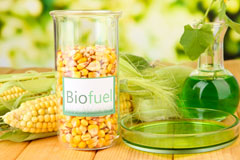 Dwygyfylchi biofuel availability