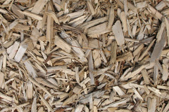 biomass boilers Dwygyfylchi