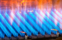 Dwygyfylchi gas fired boilers